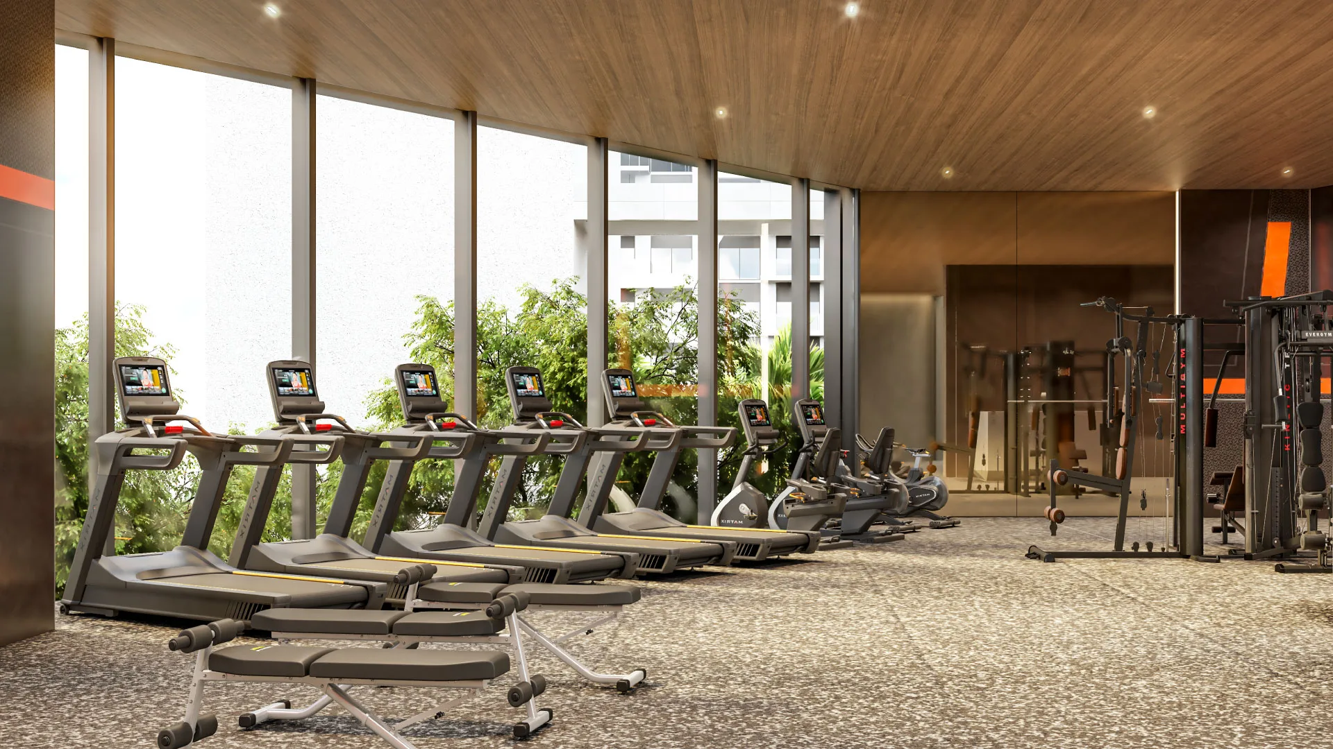 Gym